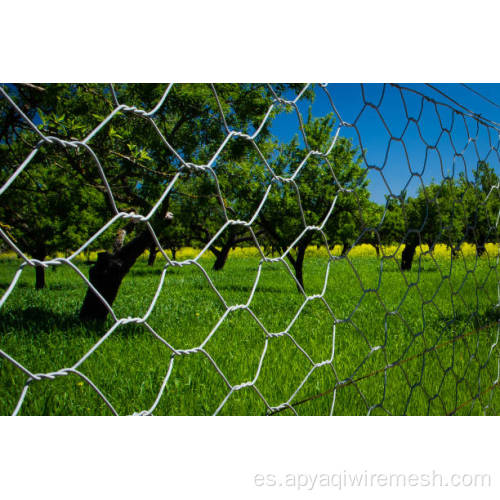 Mala de alambre hexagonal de la cerca de aves de corral